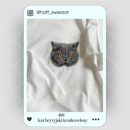 Koszulka/bluza z kapturem z haftem Kota Brytyjskiego Krótkowłosego. Gotowy wzór 409
