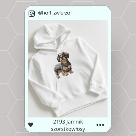 Koszulka/bluza z haftem Jamnika szorstkowłosego. Gotowy wzór 2193