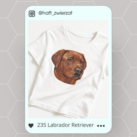 Koszulka/bluza z haftem Labradora Retrievera. Gotowy wzór 235