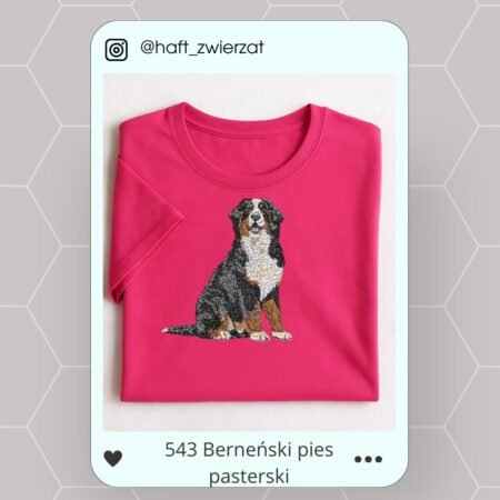 Koszulka/bluza z haftem Berneńskiego psa pasterskiego. Gotowy wzór 543