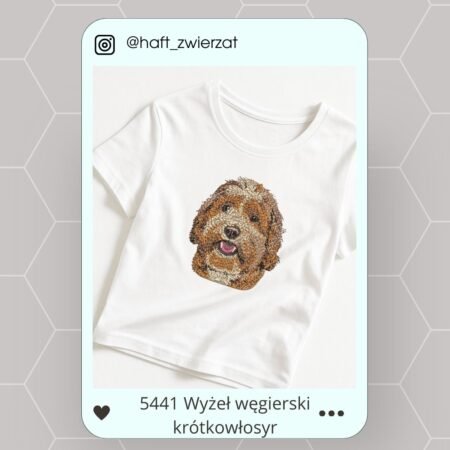 Koszulka/bluza z haftem Labradoodle. Gotowy wzór 552